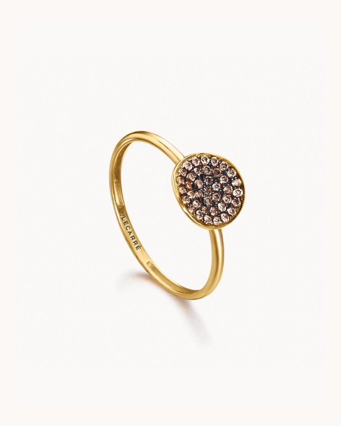 Anillo O.A. Disco Curvado 0.198 | LECARRE