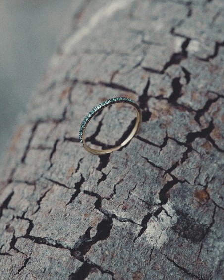Tillbaka till Eden Ring Guld & Smaragder