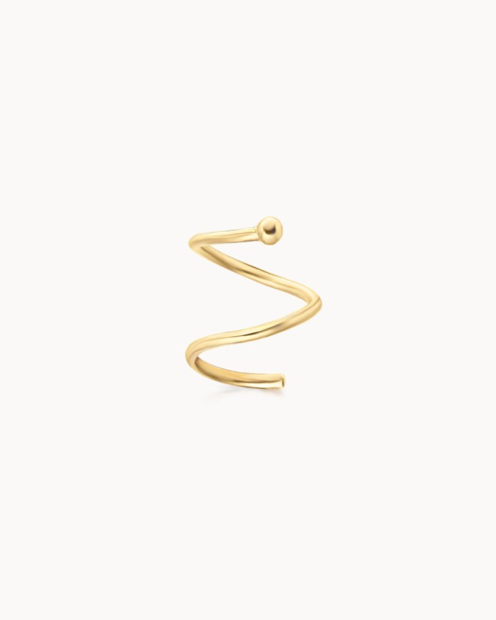 Goldene Spiralohrringe Look 2 Ohrringe | LECARRE